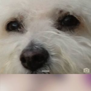 Meet your Posher, Renee